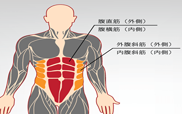 ぽっこりお腹にはコレ 最短で腹筋を鍛える自宅トレーニング3選